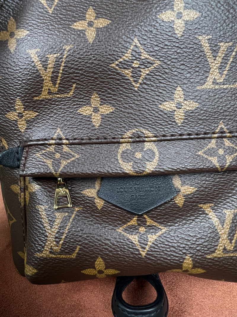 Louis Vuitton palm spring mini backpack