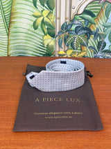Louis Vuitton tie light blue