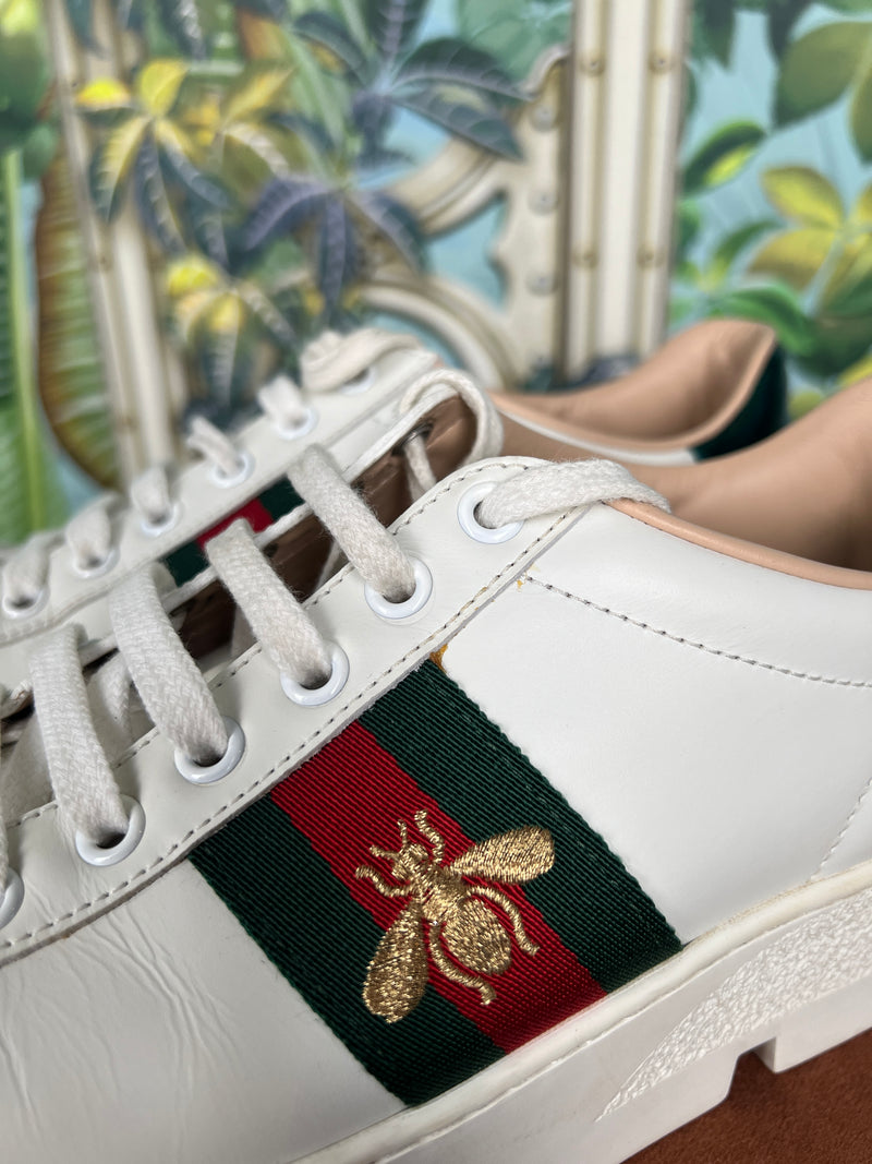 Gucci ace sneakers