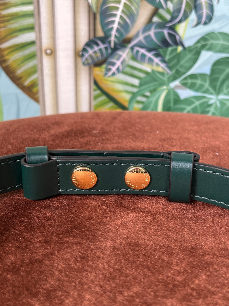 Louis Vuitton bag strap green