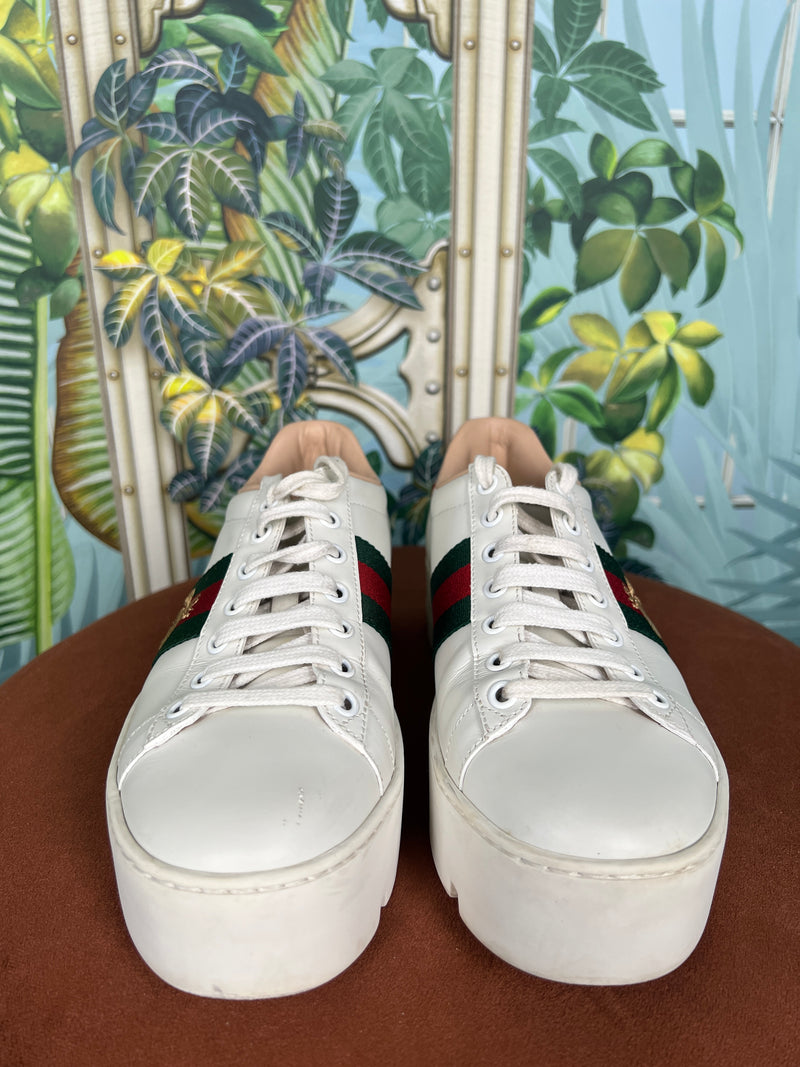 Gucci ace sneakers