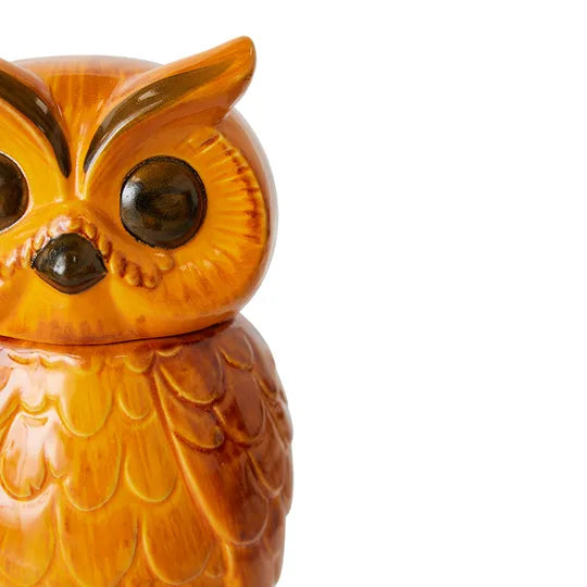 HK living ceramic owl jar orange