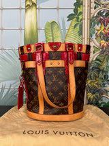 Louis Vuitton rubis salina neo limited edition