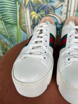 Gucci ace sneakers