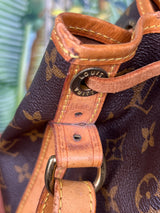 Louis Vuitton Noe petit bag