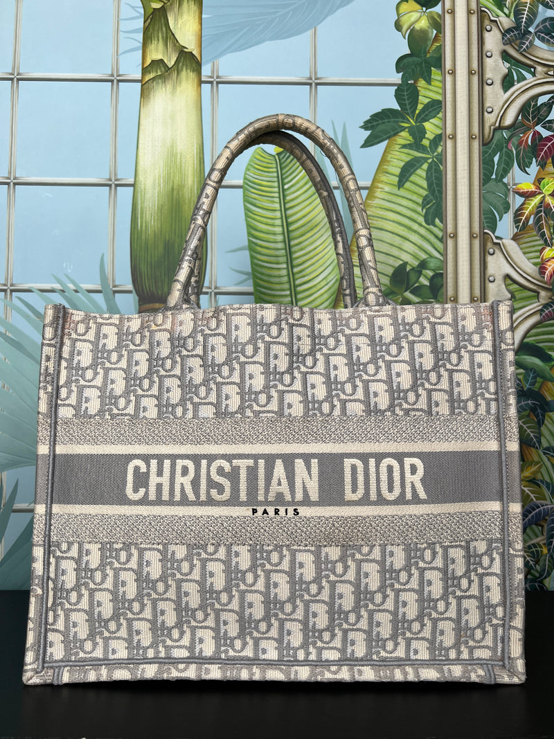 Christian Dior book tote medium