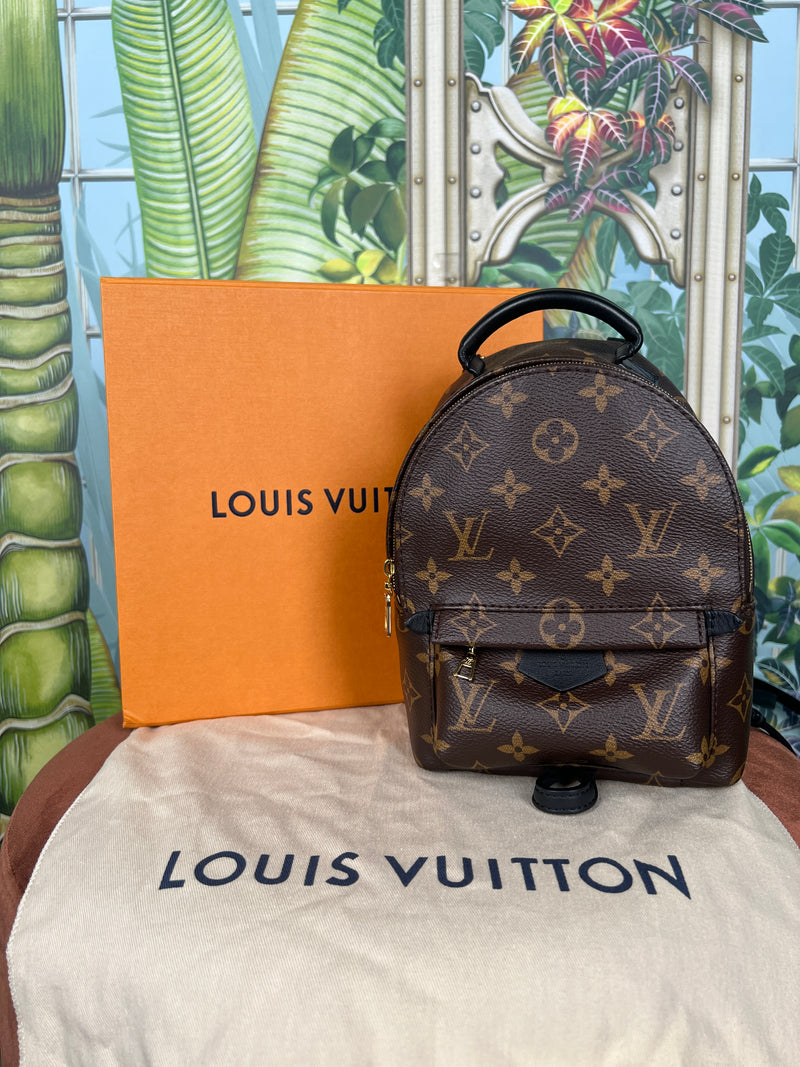 Louis Vuitton palm spring mini backpack