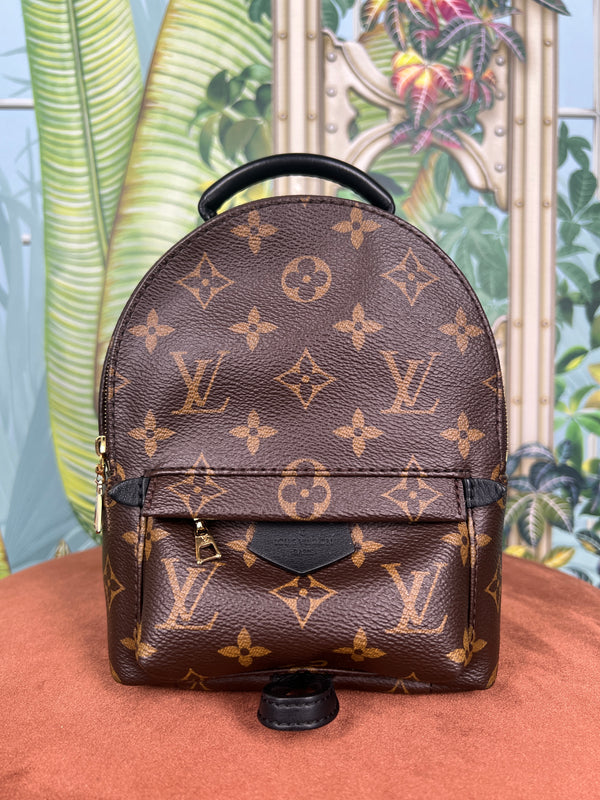 Louis Vuitton palm spring mini backpack