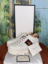 Gucci ace sneakers