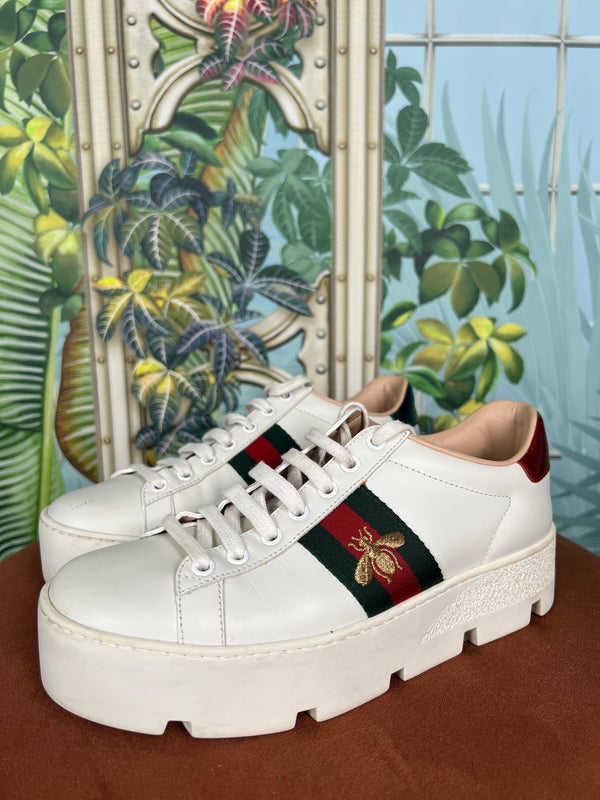 Gucci ace sneakers