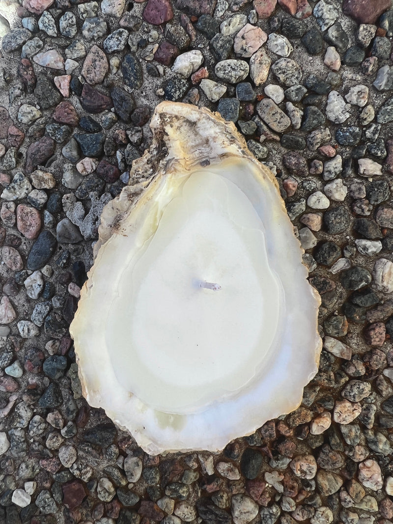 Oyster candle bonfire