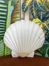 Large hand painted shells CC