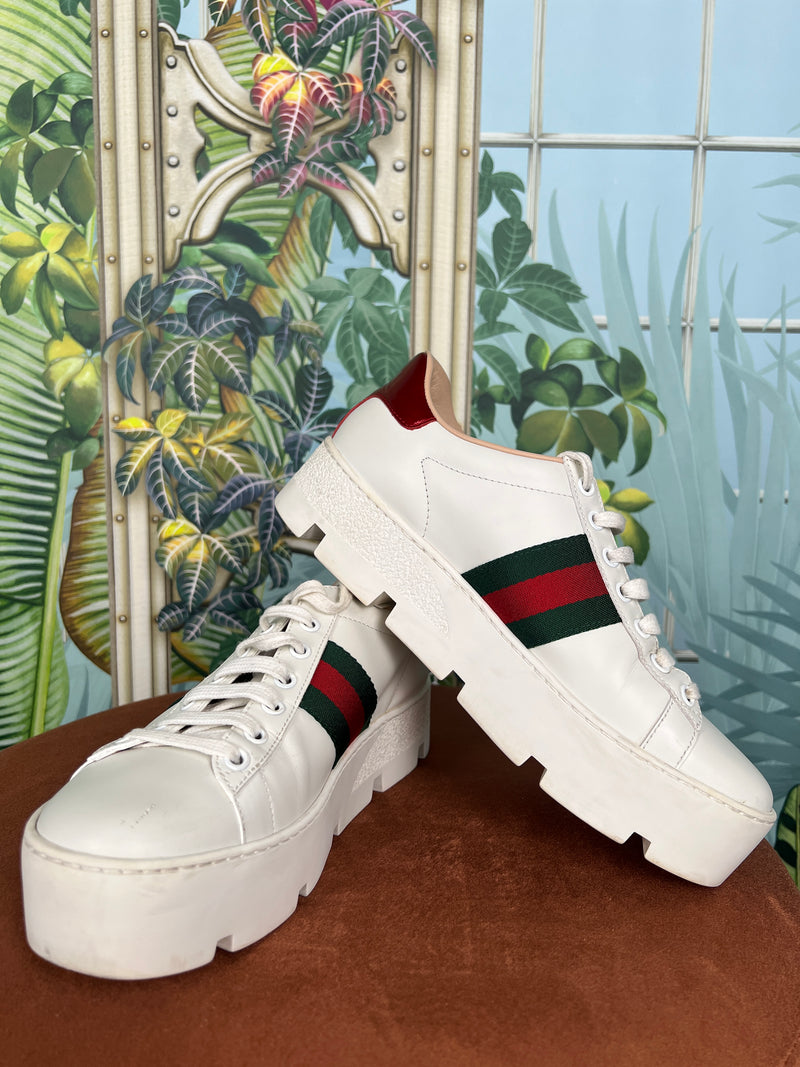 Gucci ace sneakers