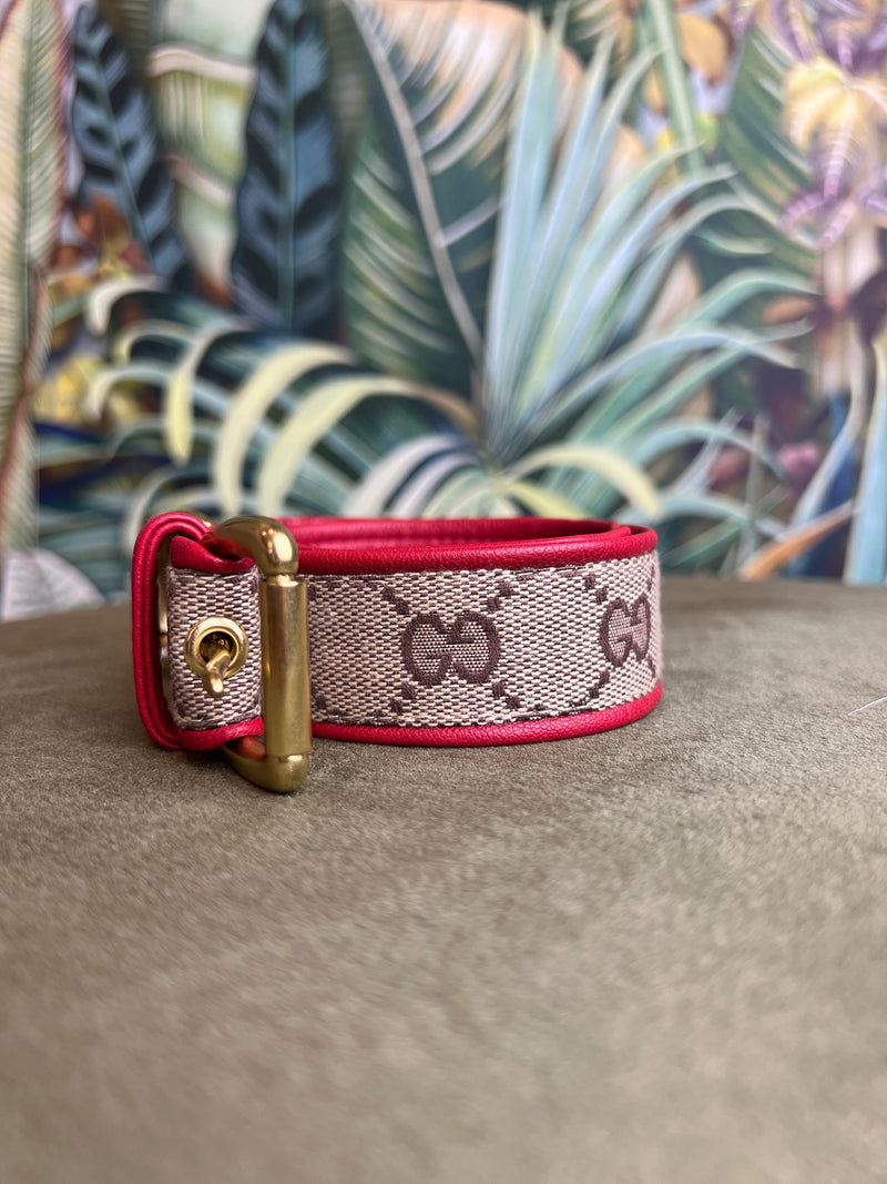 Gucci Collar red