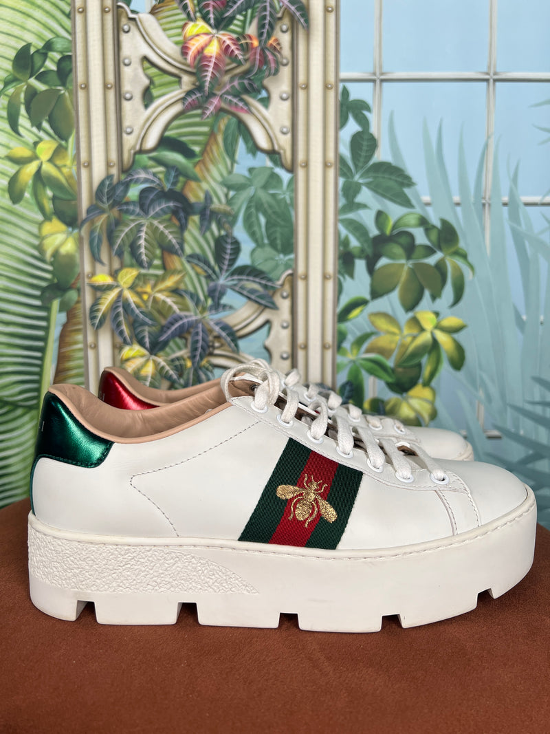 Gucci ace sneakers