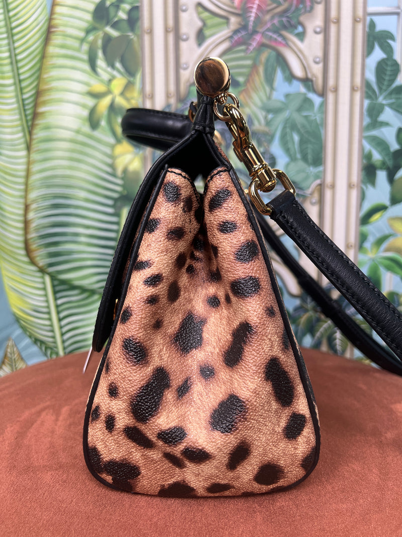 Dolce & Gabbana Sicily bag medium leopard print