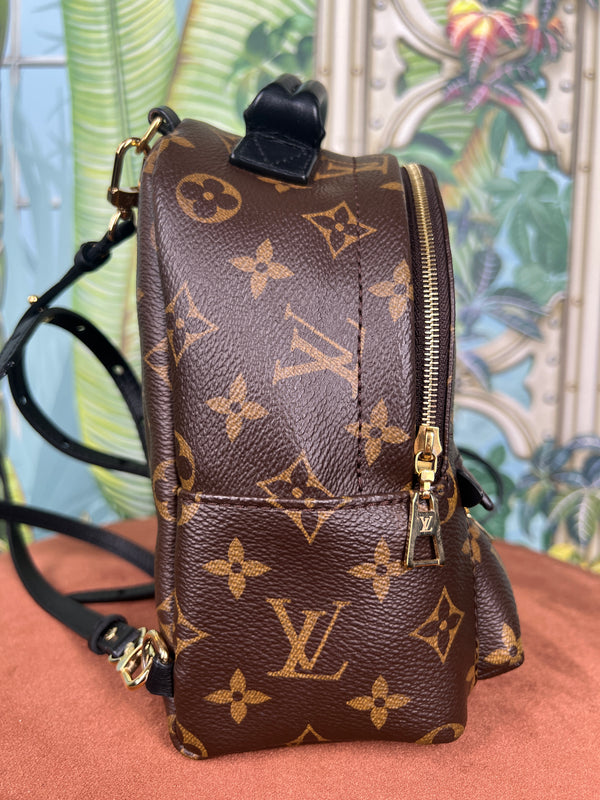 Louis Vuitton palm spring mini backpack