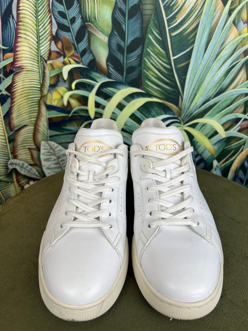 Tods white sneakers